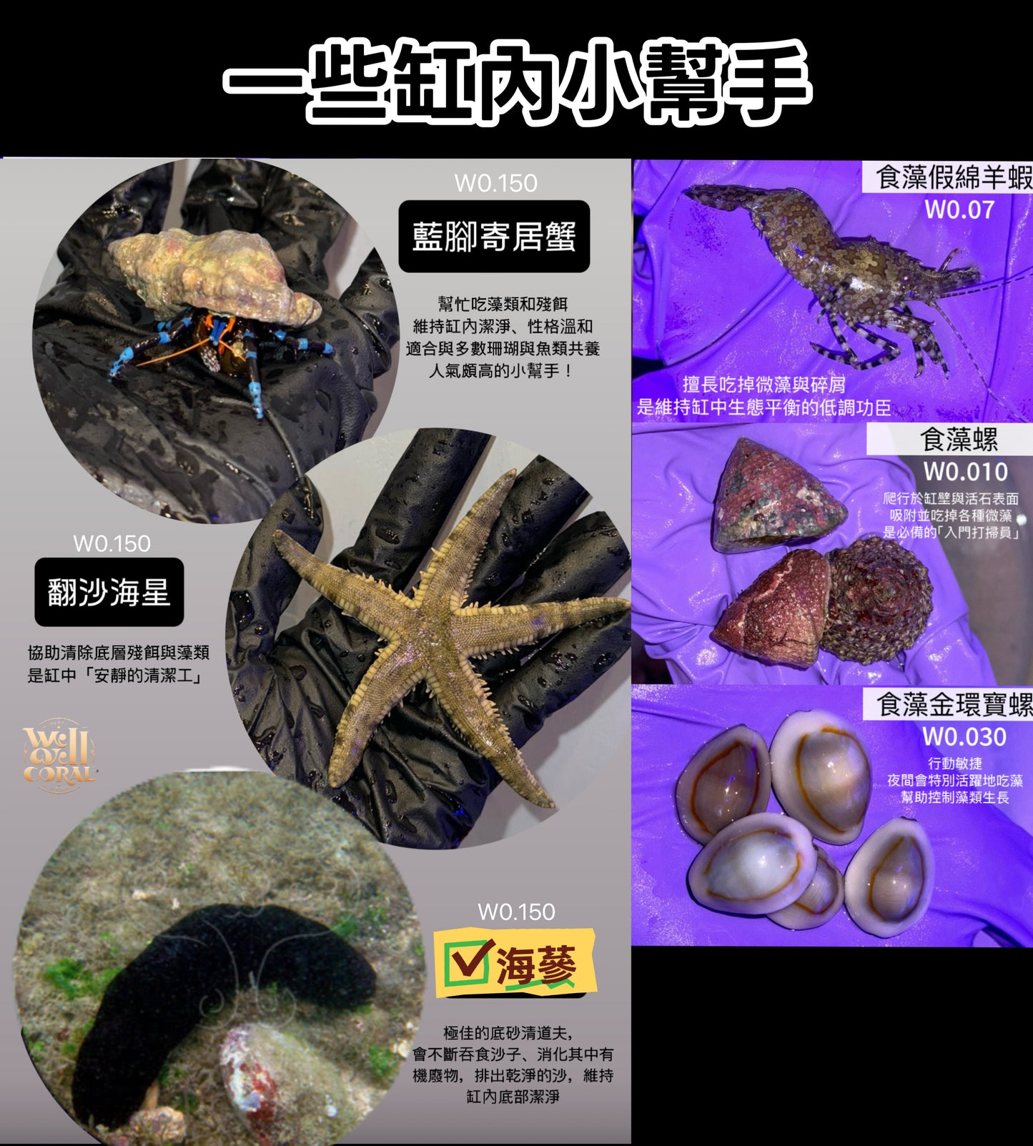 【魚缸小幫手】