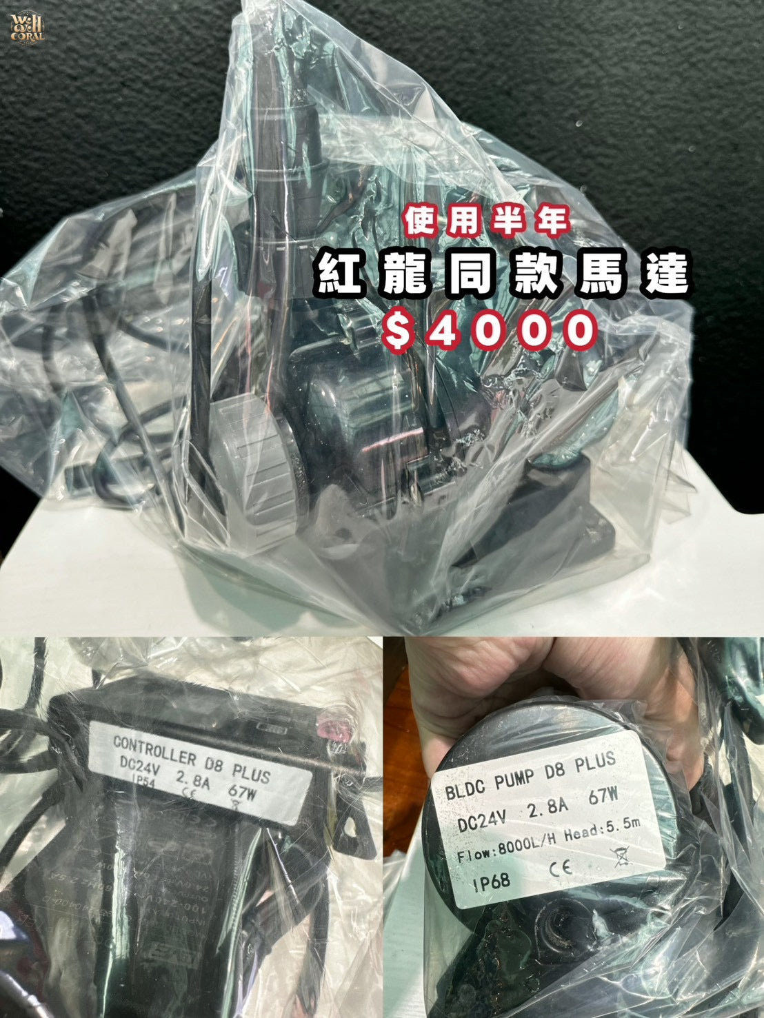 (二手)8000L紅龍同款馬達