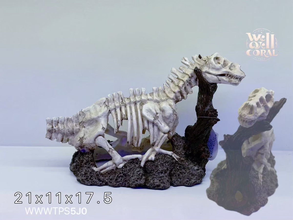 21x11x17.5