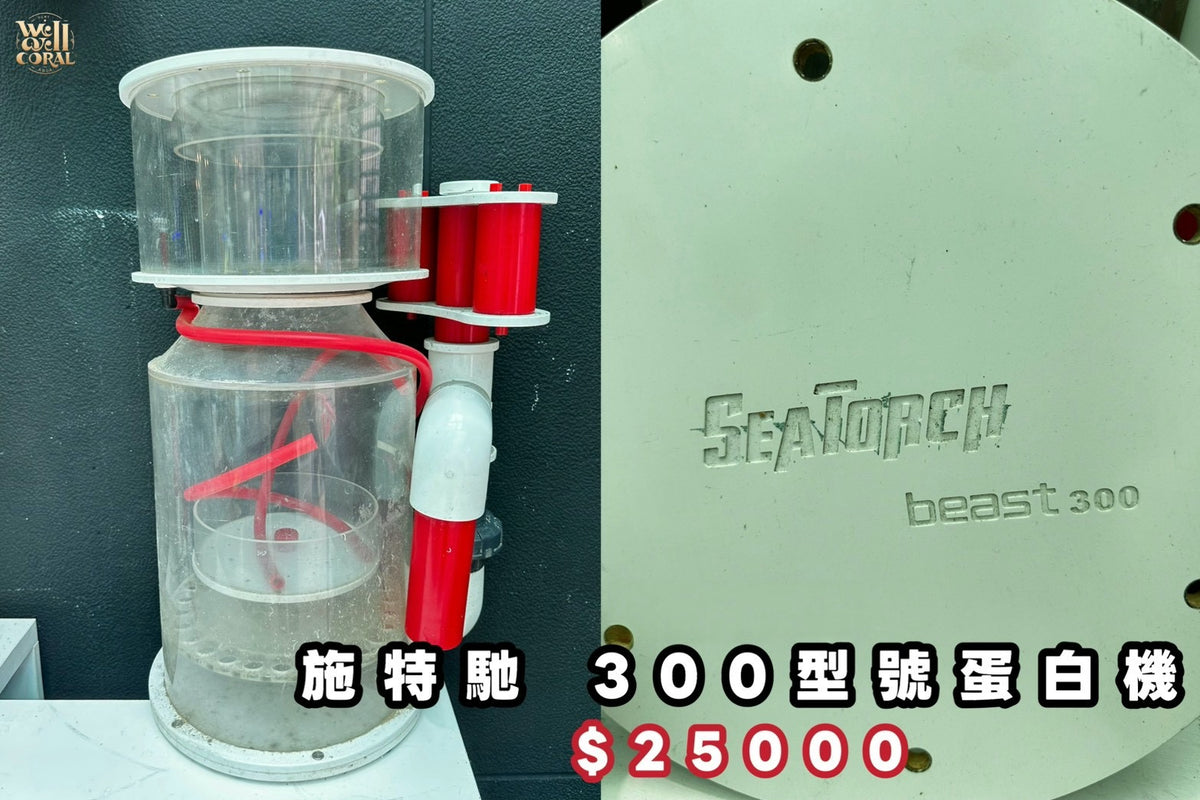（二手）施特馳300型號蛋白機