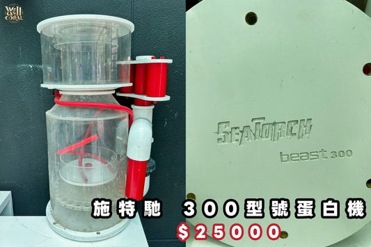 （二手）施特馳300型號蛋白機