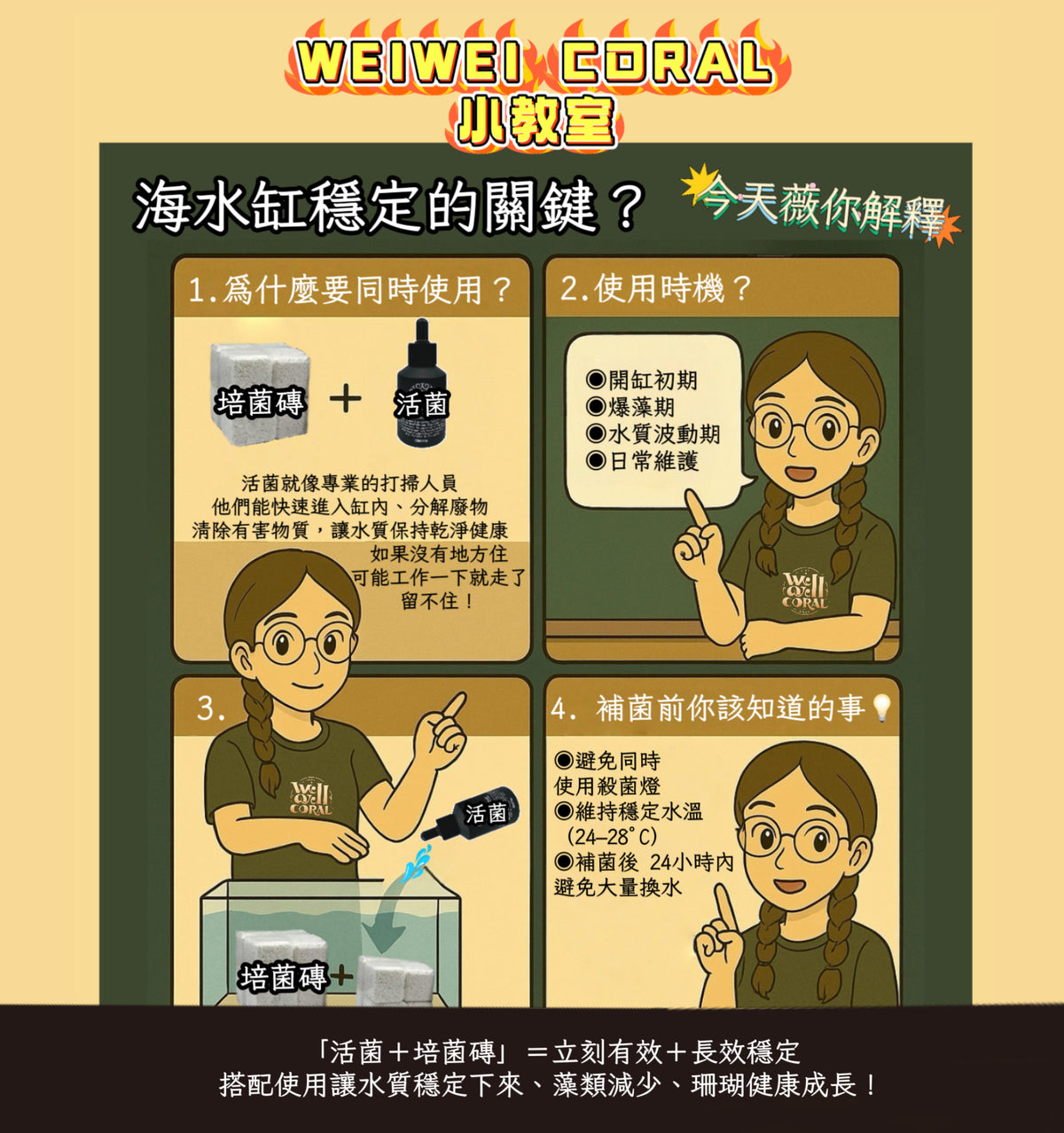【海水缸高效能活菌】BIOS / BIOEnH