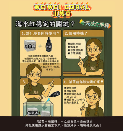 【海水缸高效能活菌】BIOS / BIOEnH