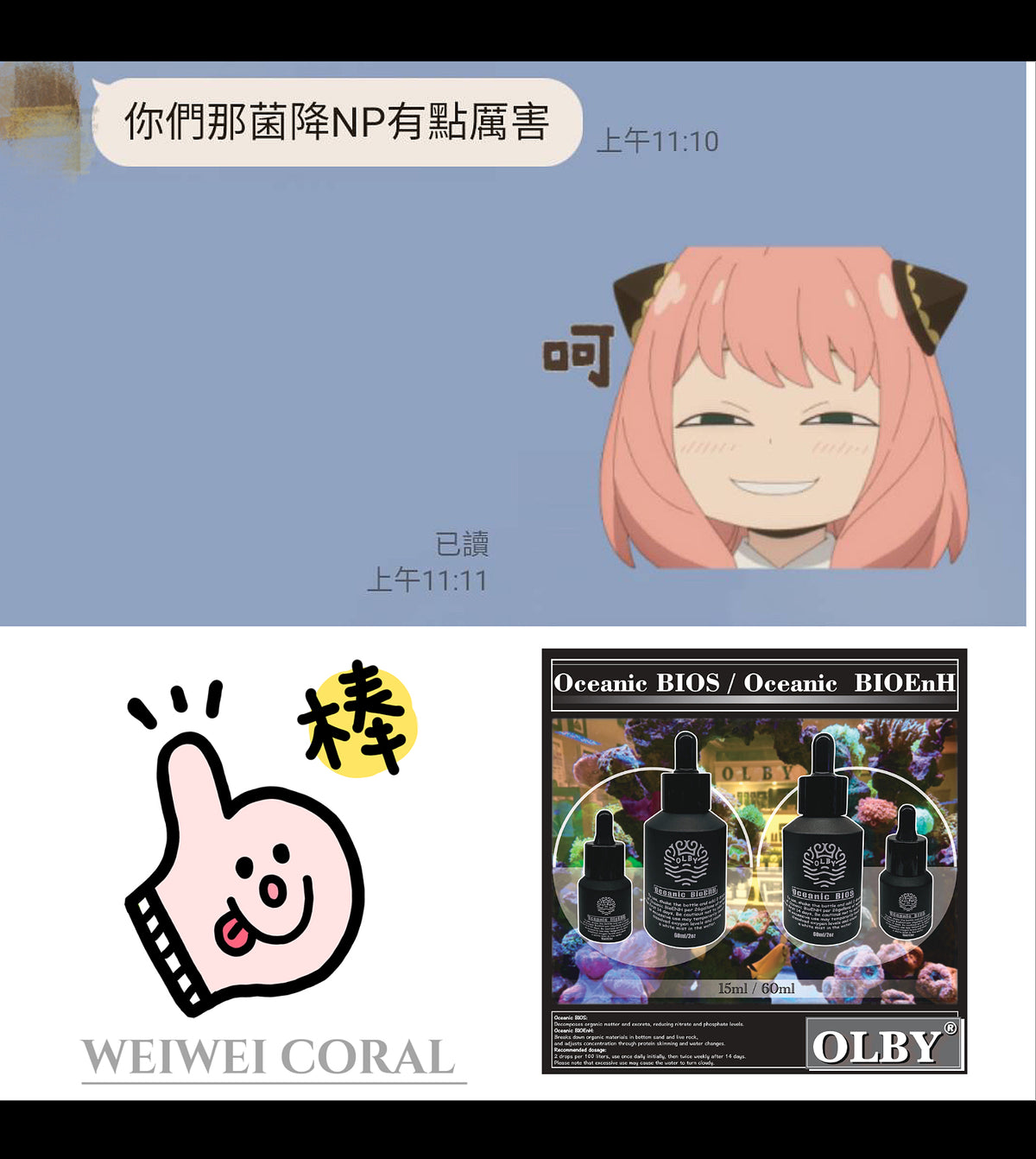 【海水缸高效能活菌】BIOS / BIOEnH