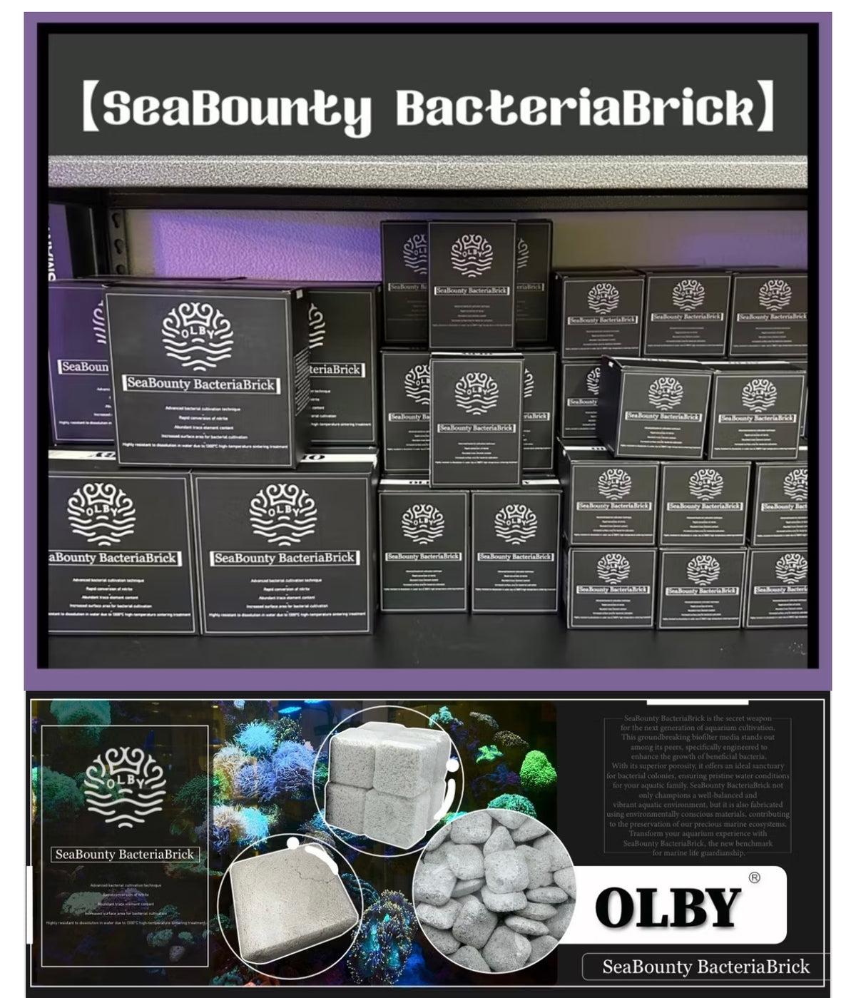【高效能培菌益菌磚】SeaBounty BacteriaBrick