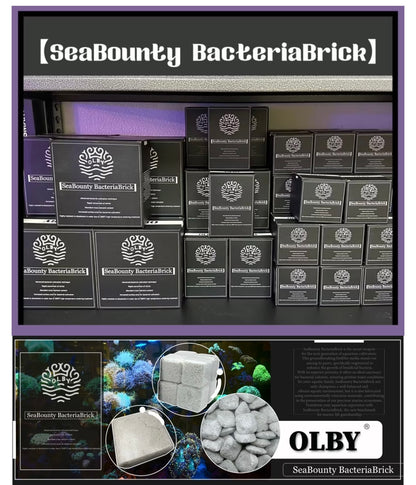 【高效能培菌益菌磚】SeaBounty BacteriaBrick