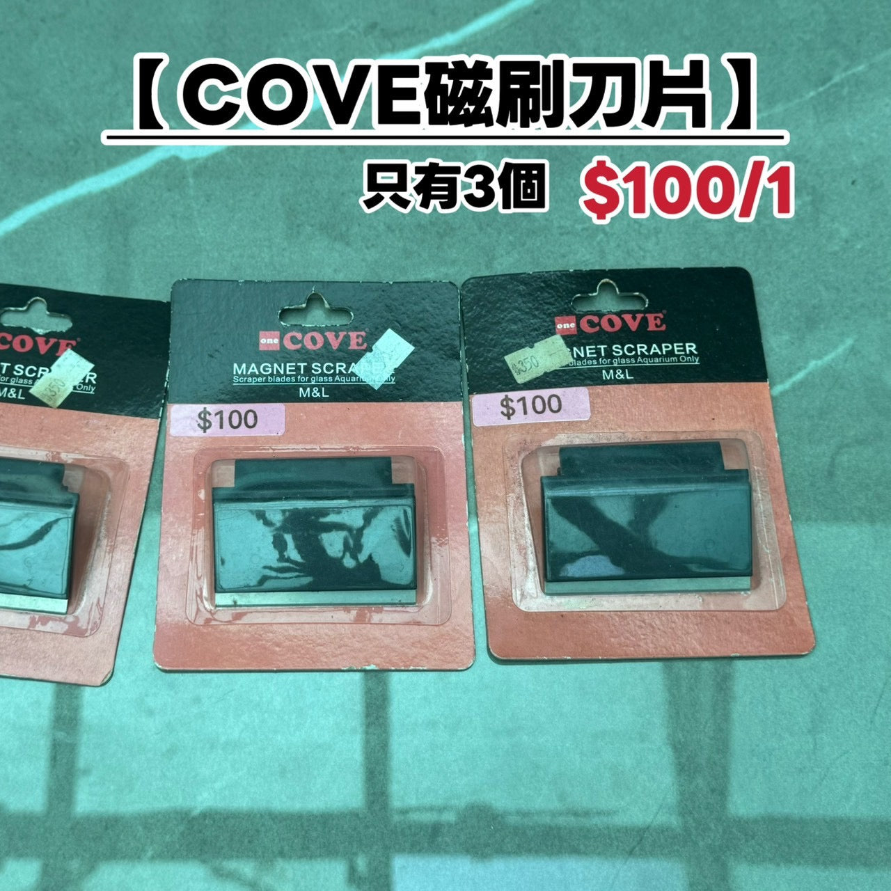 （全新）COVE磁刷刀片