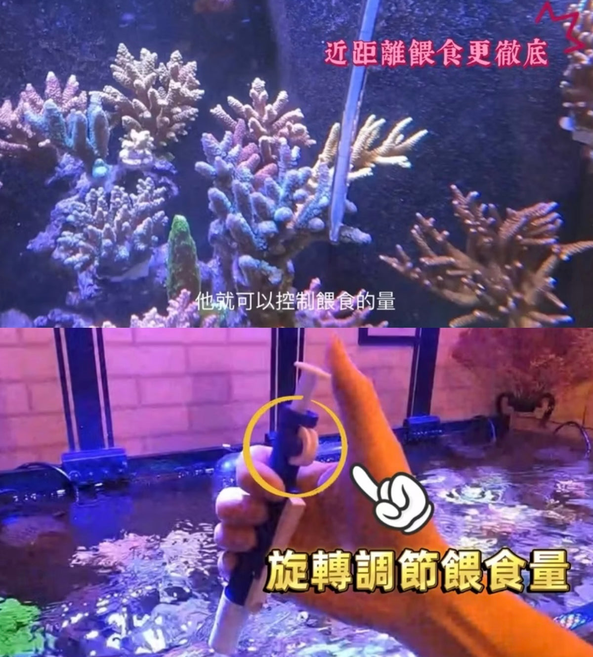 【珊瑚可調式餵食管】AdaptaCoral FeedTube