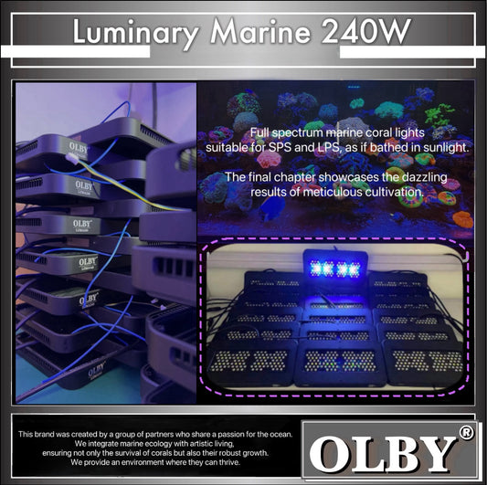 【240w日出日落珊瑚燈】Luminary Marine