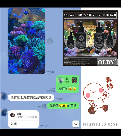 【海水缸高效能活菌】BIOS / BIOEnH