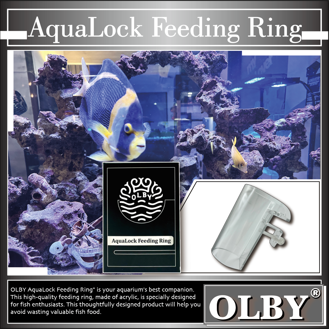 【壓克力餵食圈】AquaLock Feeding Ring
