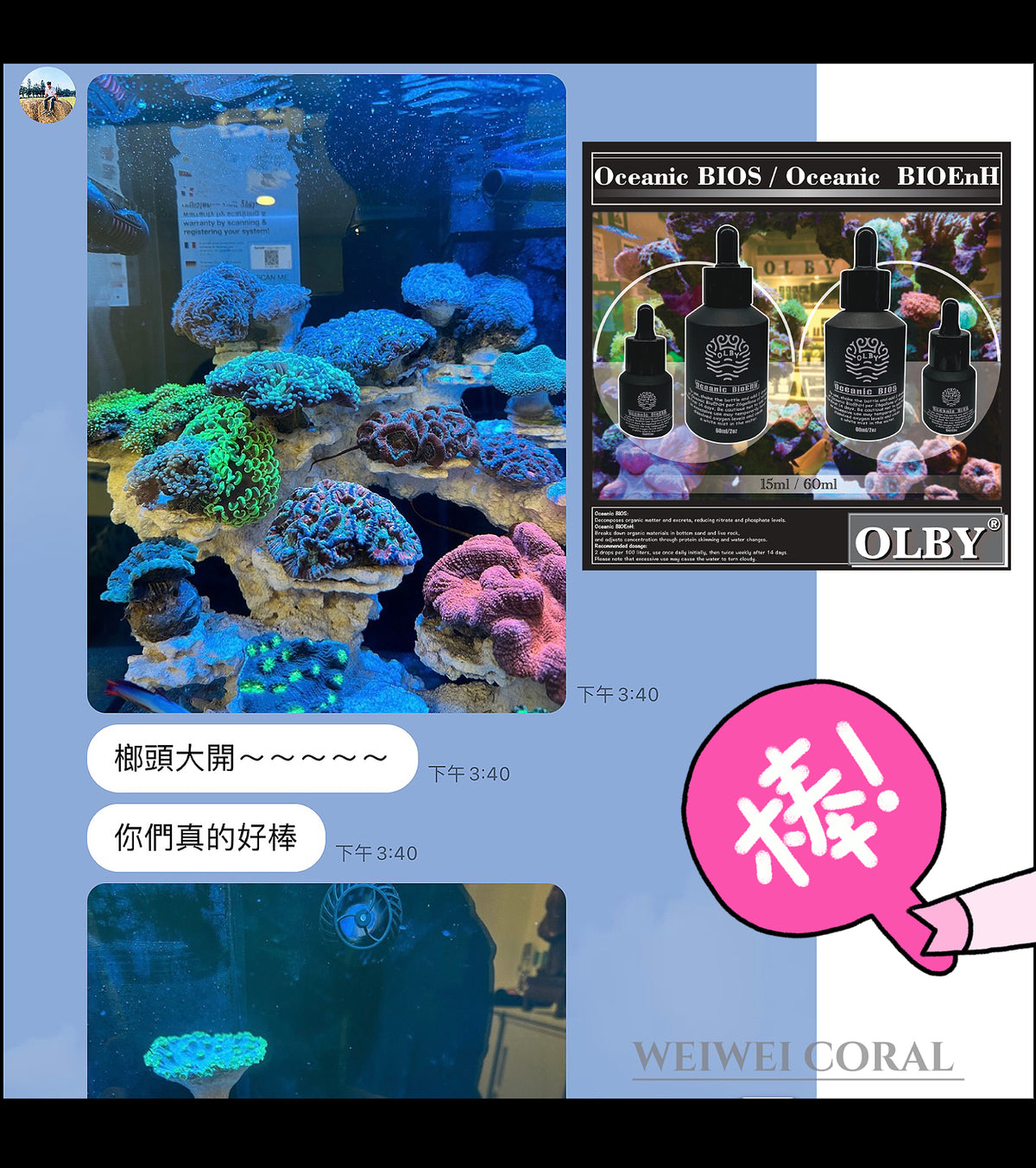 【海水缸高效能活菌】BIOS / BIOEnH