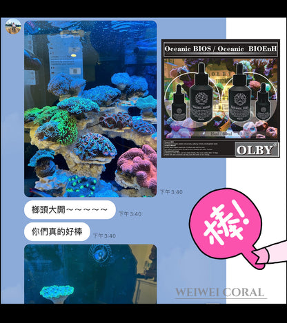 【海水缸高效能活菌】BIOS / BIOEnH