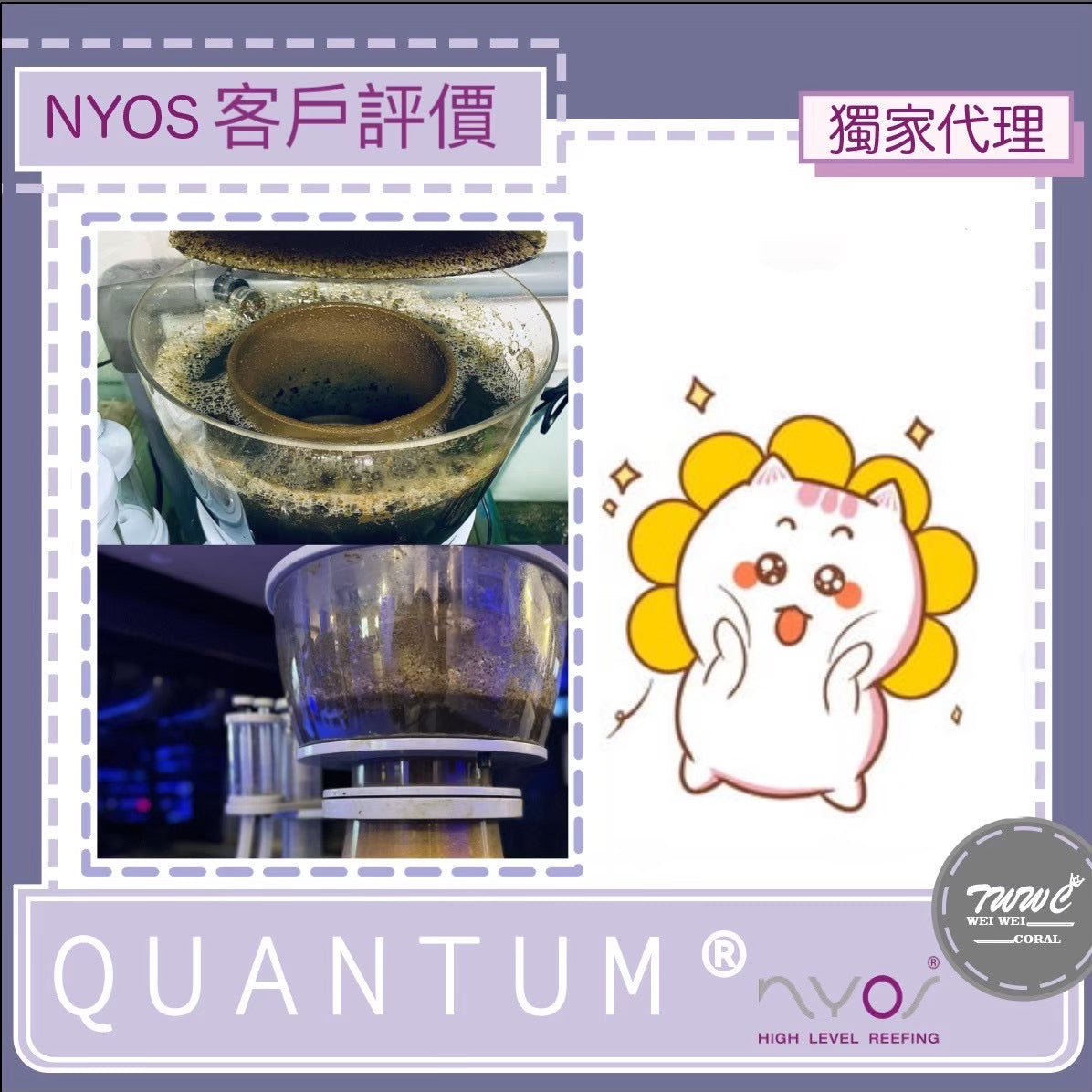 NYOS® QUANTUM® 
高效能蛋白機