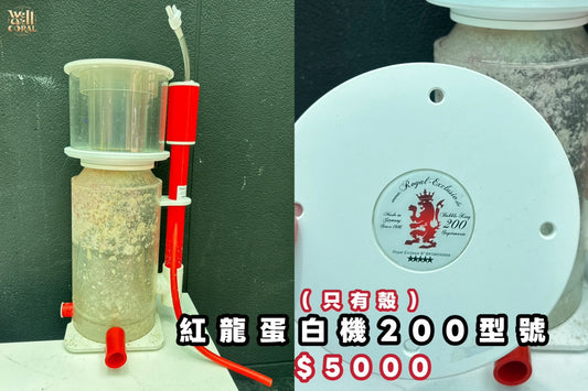 （二手）紅龍蛋白機200型號*只有殼*