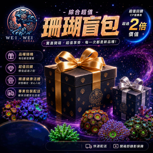 【LPS｜SPS獨家綜合超值盲包🔥】