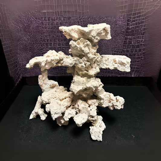 35x23x31
