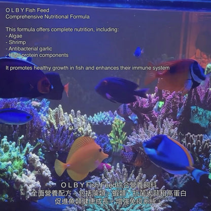 【 魚的海苔脆片】Fish Nori Bites